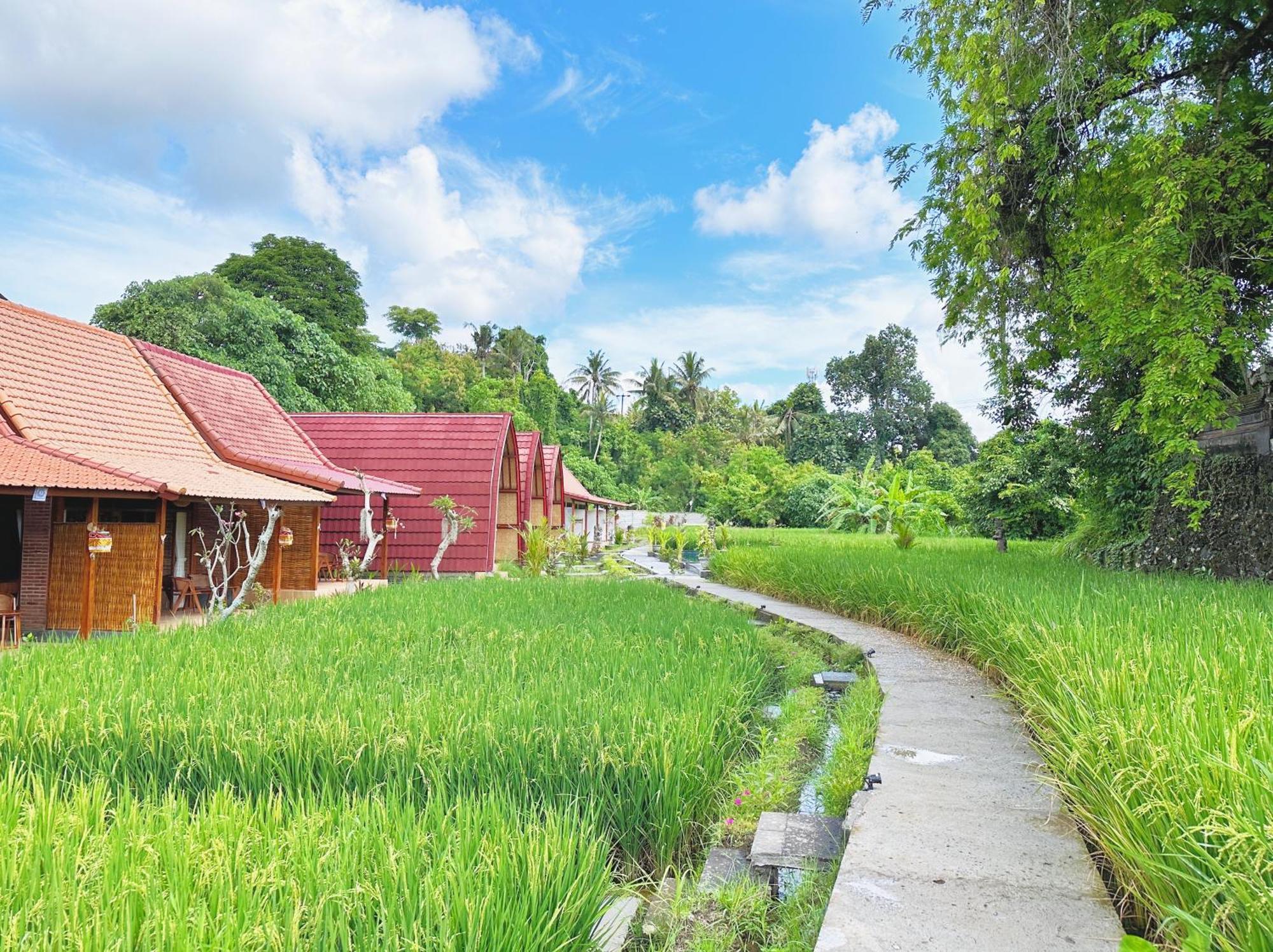 Uma Raos Cottage Ubud Extérieur photo